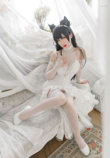 宅男网
