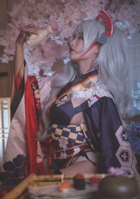 吸血鬼骑士